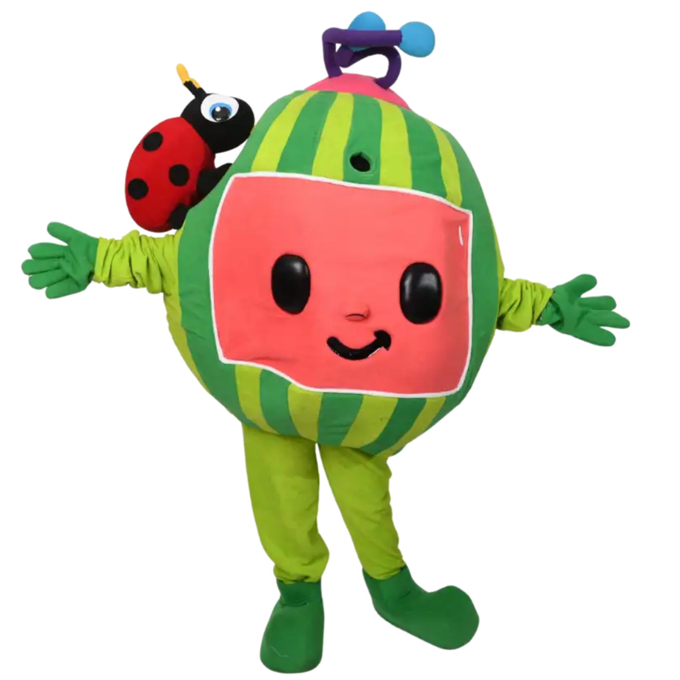 Watermelon mascot for kids party rentals – Blue Balloon Parties
