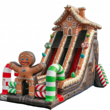 Gingerbread-Dual-Lane-Slide