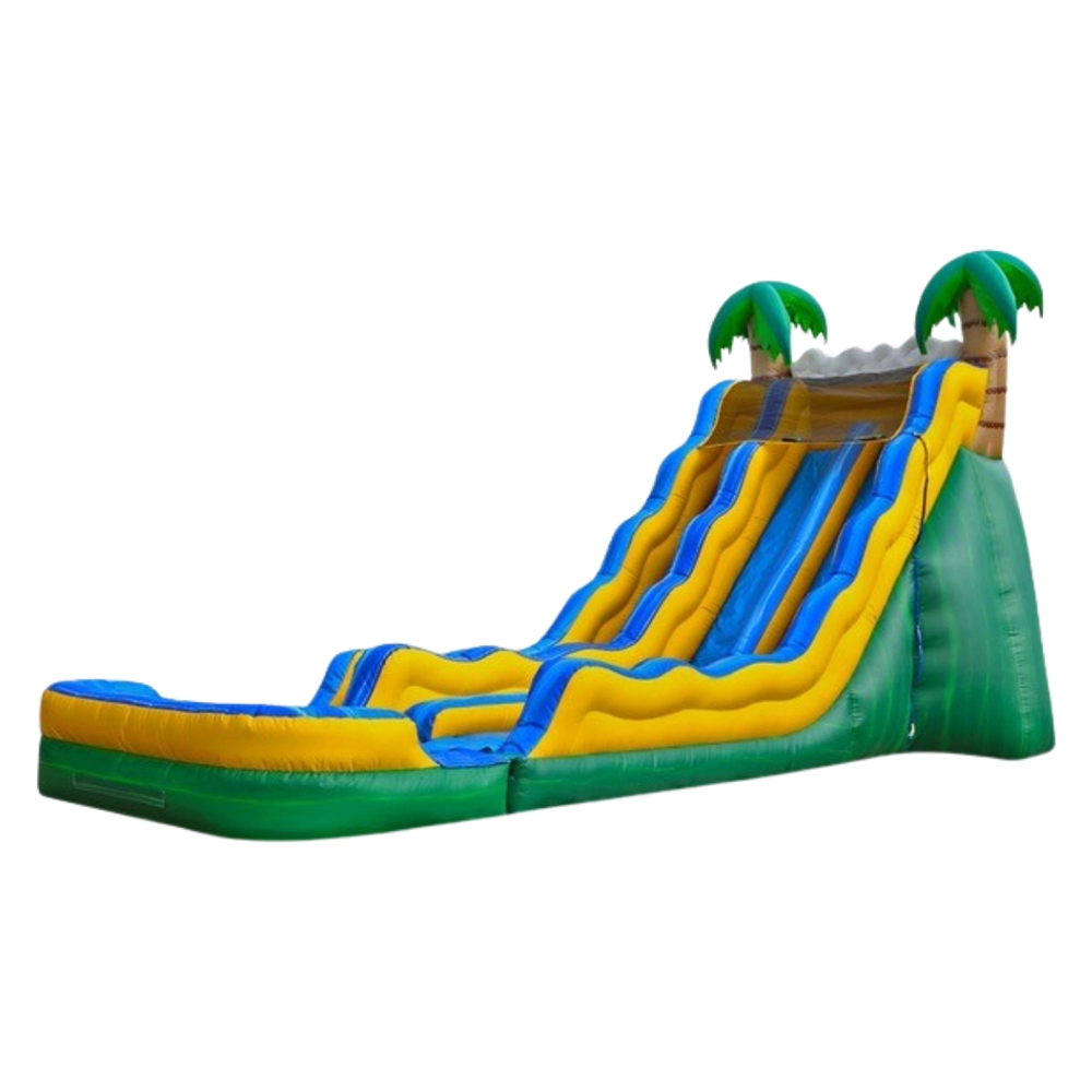 Kids racing on tropical themed dual lane water slide